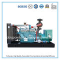 Gas Generator Biogas Methane Generator